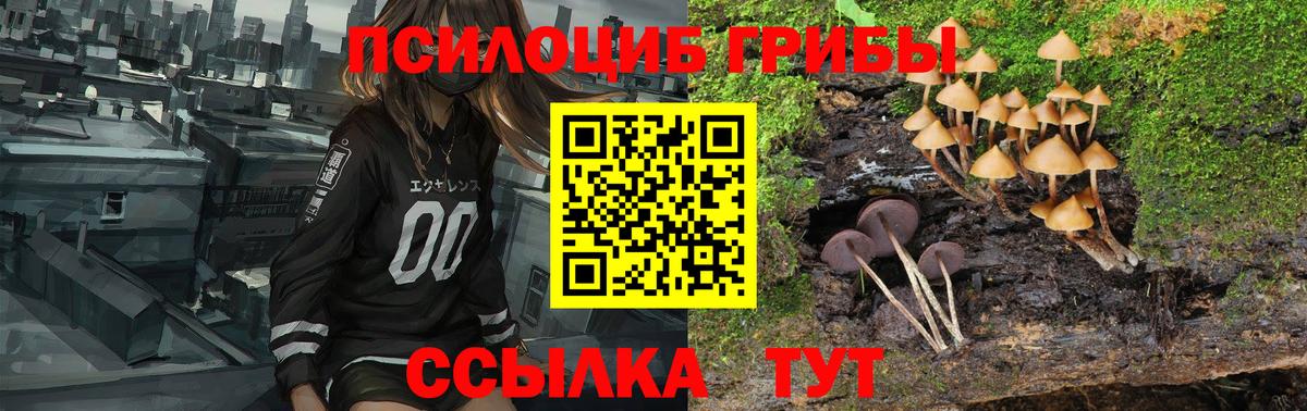 Псилоцибиновые грибы MAGIC MUSHROOMS Усинск